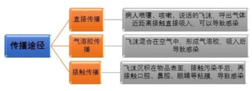 b-MOLA魚(yú)仔空氣凈化器：警惕！無(wú)癥狀感染者也可成為傳染源