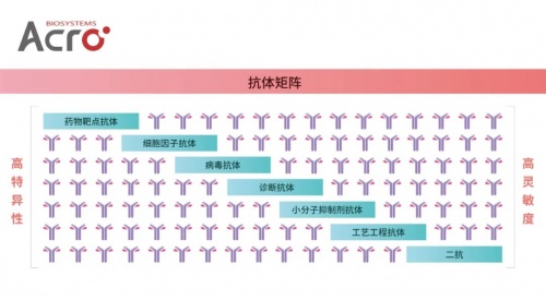 ACROBiosystems百普賽斯抗體矩陣再添新IFN-γ，助力加速生物藥研發(fā)上市進(jìn)程