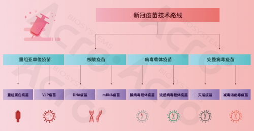 ACROBiosystems百普賽斯攜整體解決方案出席創(chuàng)新峰會，助力加速疫苗研發(fā)上市進(jìn)程