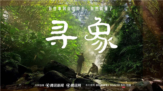 去雨林深處，聽大象長吟，自然紀(jì)錄片《尋象》正式上線！