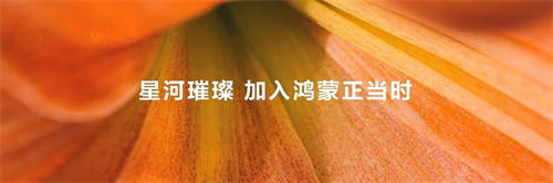 加入鴻蒙正當(dāng)時(shí)，“鴻蒙林”照見原生鴻蒙萬(wàn)物智聯(lián)新世界